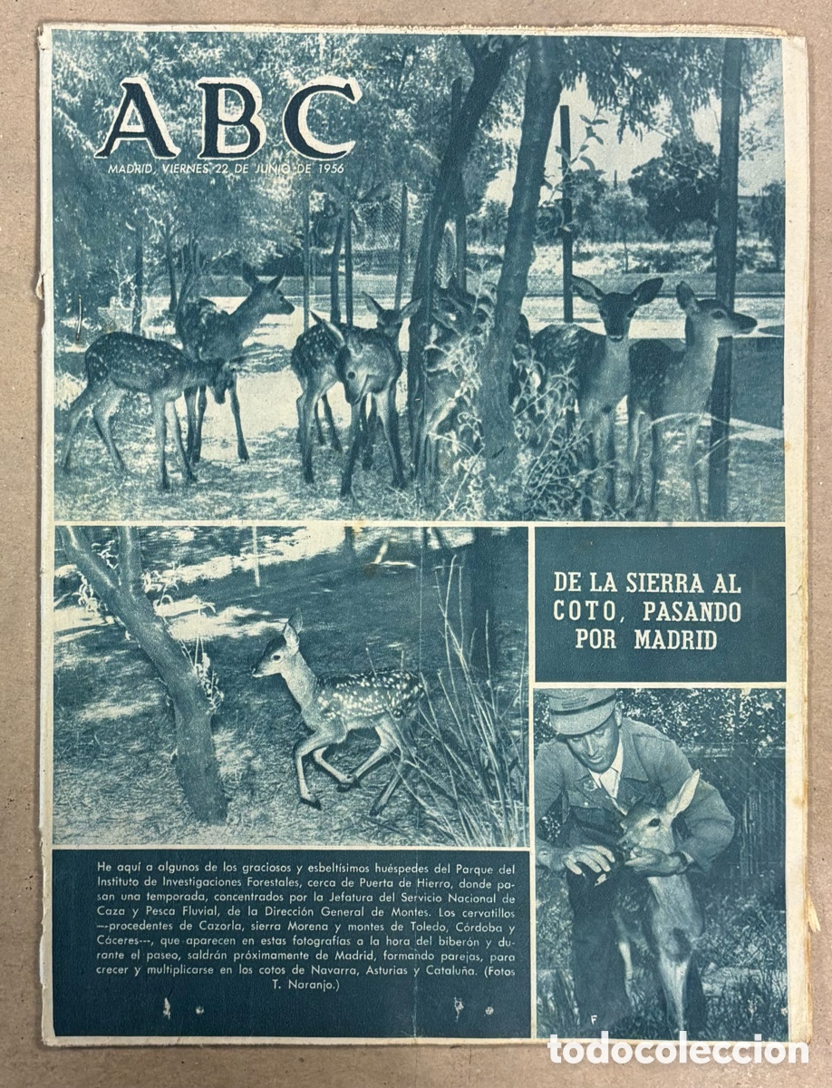 Coleccionismo de revistas y peri&oacute;dicos: ABC (22 JUNIO 1956) CERVATILLOS MADRID, INAUGURACI&Oacute;N HOSPITAL CRUCES &ldquo;ENRIQUE SOTOMAYOR&rdquo; BARACALDO