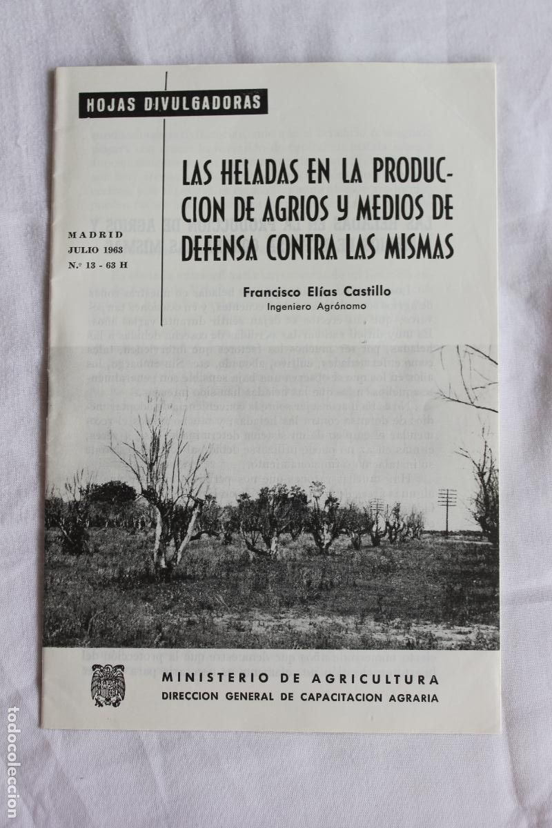 Coleccionismo de revistas y peri&oacute;dicos: HOJAS DIVULGADORAS LAS HELADAS EN LA PRODUCCION DE AGRIOS 1963 N&ordm; 13