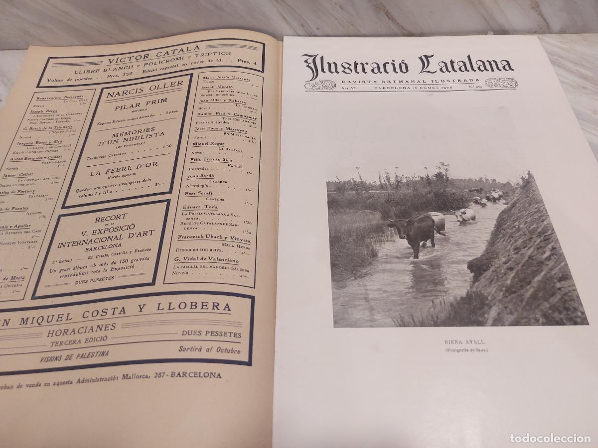 Collectionnisme de Revues et Journaux: A&Ntilde;O 1908 !! | ILUSTRACI&Oacute; CATALANA N.&ordm; 272 | ESCUADRA INGLESA EN BARCELONA | NORUEGA