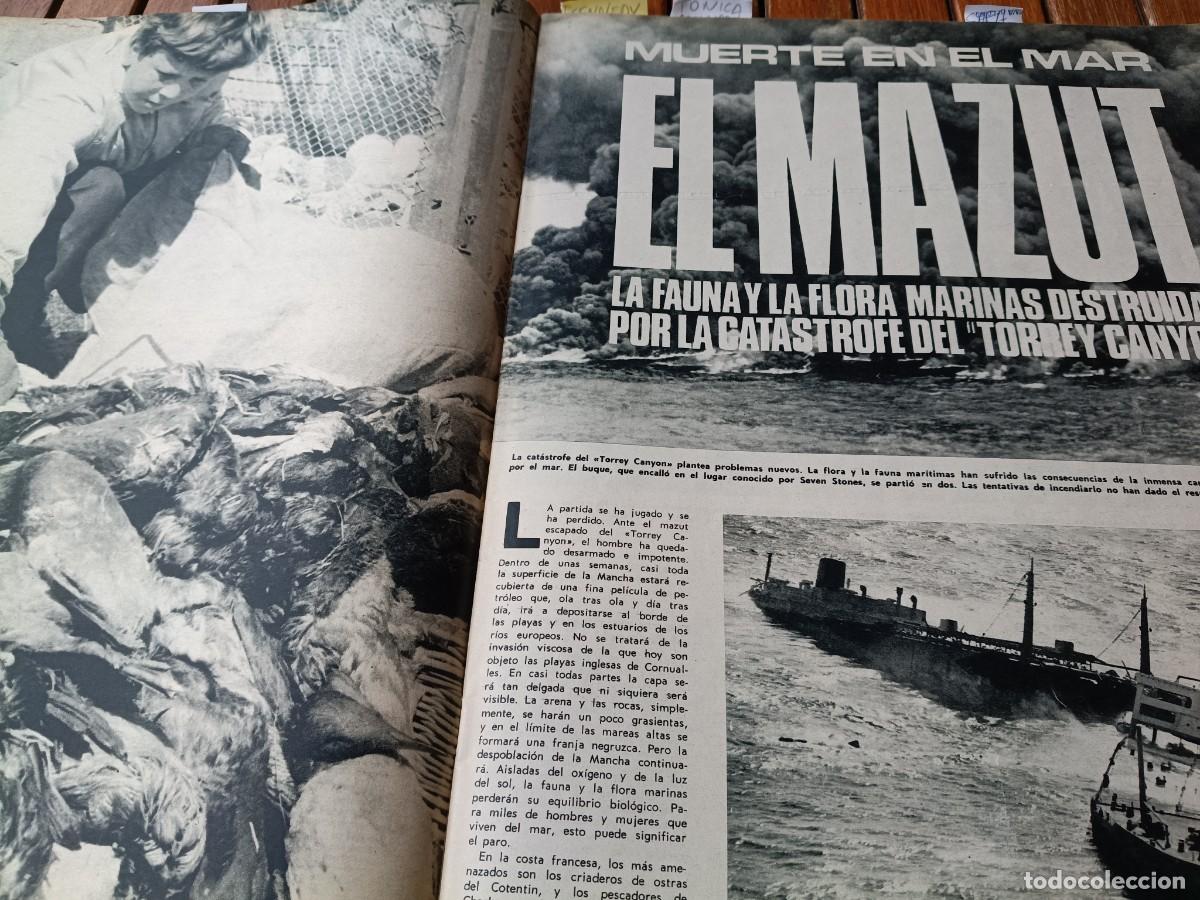 Coleccionismo de revistas y peri&oacute;dicos: CAT&Aacute;STROFE ECOL&Oacute;GICA POR EL HUNDIMIENTO DEL TORREY CANYON. 5 P&Aacute;GINAS DE TRIUNFO 1967