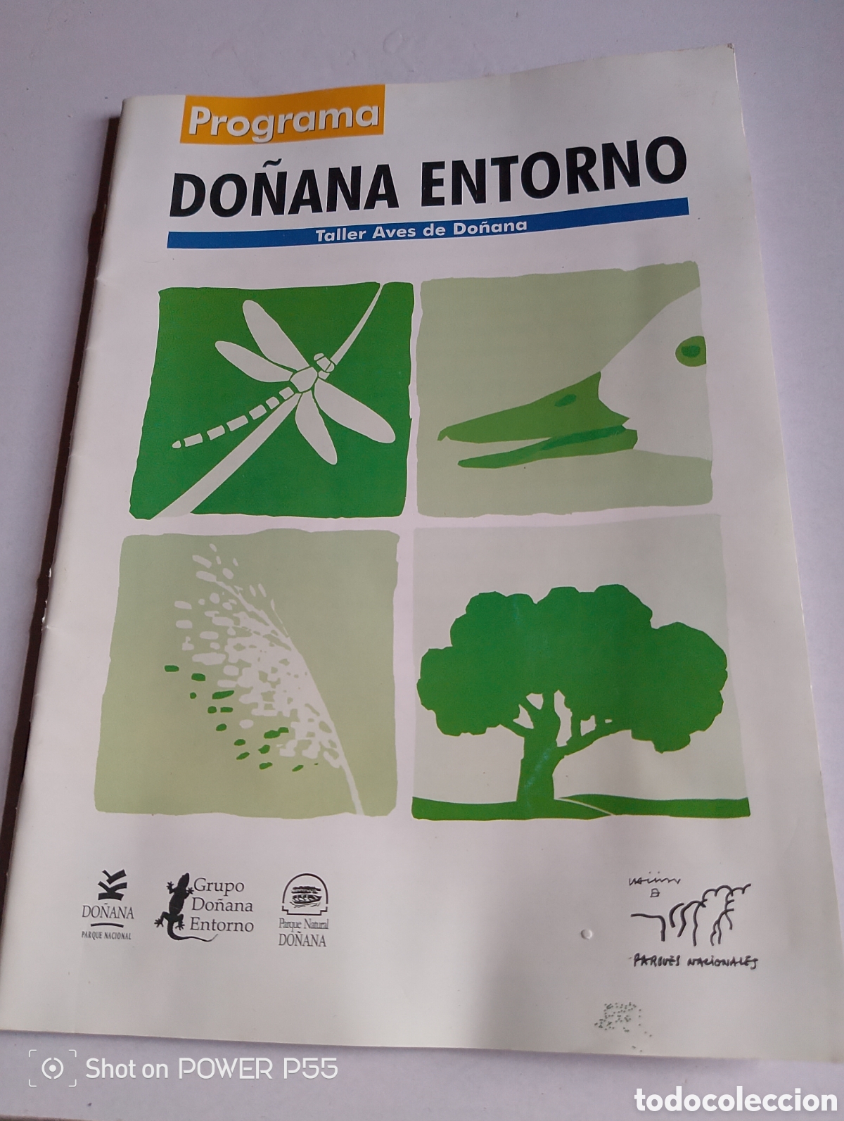 Coleccionismo de revistas y peri&oacute;dicos: Do&ntilde;ana parque entorno