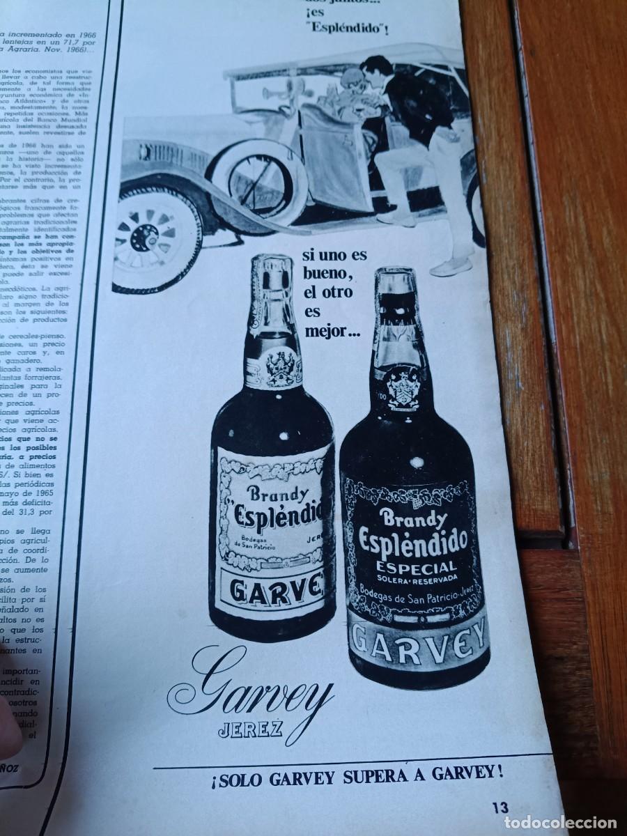 Coleccionismo de revistas y peri&oacute;dicos: PUBLICIDAD VINTAGE. ANUNCIO DE BRANDY ESPLENDIDO DE GARVEY. 13X34 CM. 1967