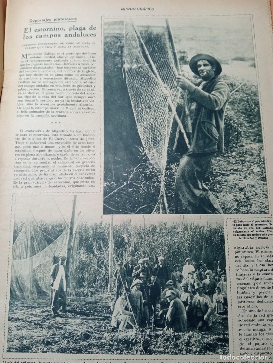 Coleccionismo de revistas y peri&oacute;dicos: REVISTA A&Ntilde;O 1933 CAZA DEL ESTORNINO EN EL CUERVO JEREZ MARQUES DE CORTINA JOSE GOMEZ ACEBO