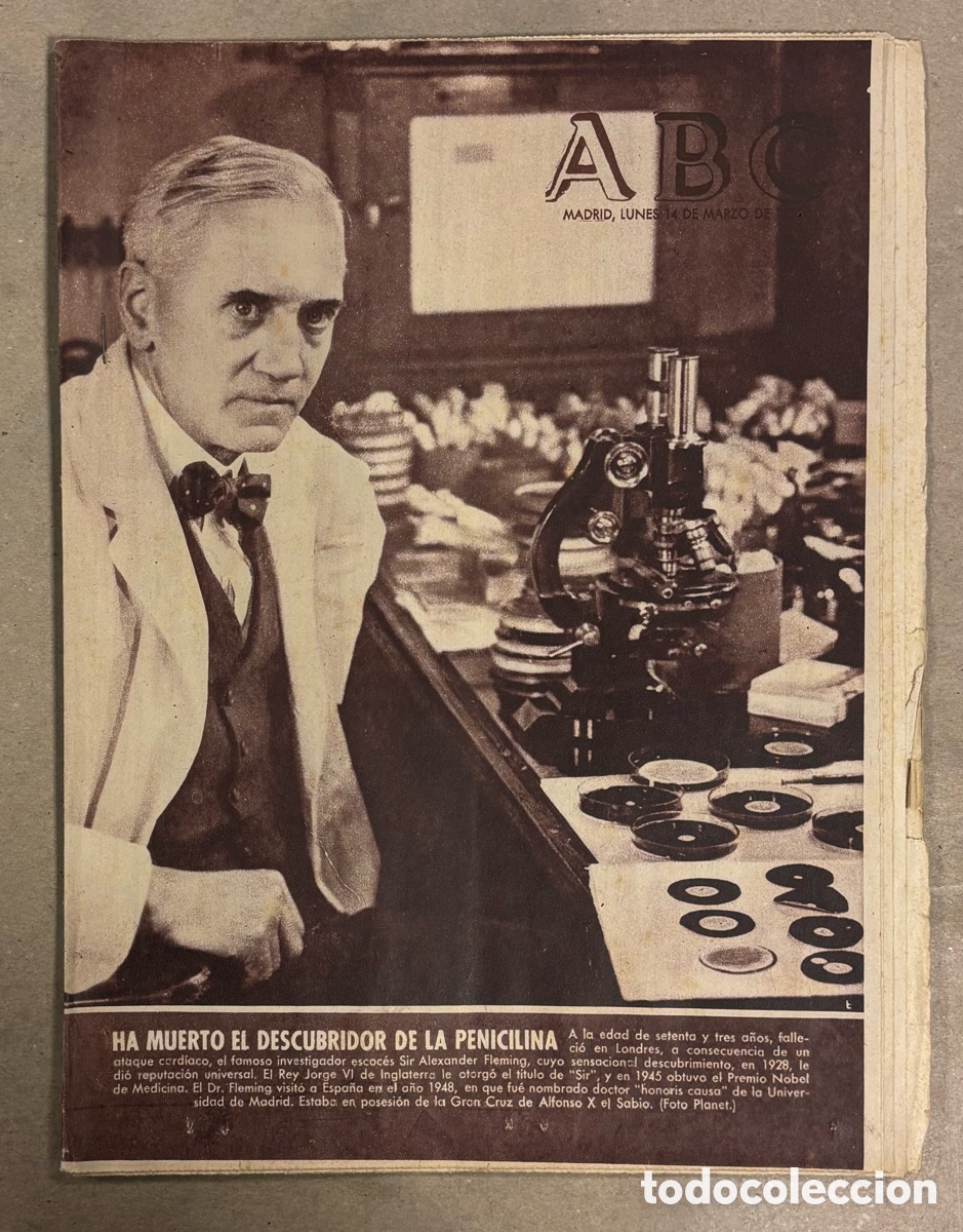 Coleccionismo de revistas y peri&oacute;dicos: ABC (14 MARZO 1955) MUERTE DE ALEXANDER FLEMING PENICILINA, VICTORIA ESPA&Ntilde;A BALONCESTO