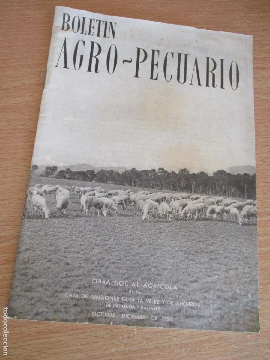 Collectionnisme de Revues et Journaux: BOLET&Iacute;N AGRO-PECUARIO-OBRA SOCIAL AGR&Iacute;COLA- OCTUBRE-DICIEMBRE DE 1956
