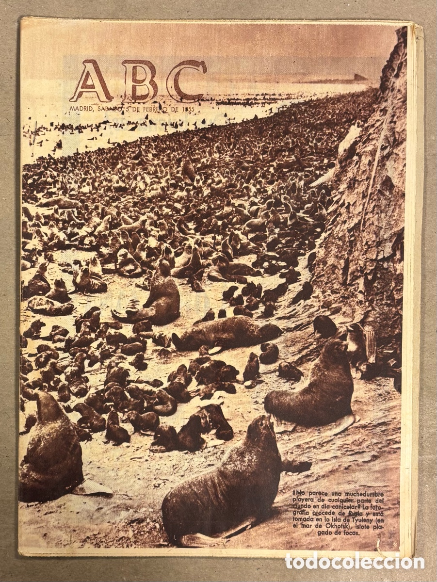 Coleccionismo de revistas y peri&oacute;dicos: ABC (5 FEBRERO 1955) FOCAS ISLA DE TYULENY (RUSIA), MONTER&Iacute;AS EN C&Oacute;RDOBA, NUEVA ARQUITECTURA