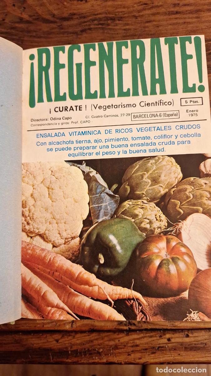 Coleccionismo de revistas y peri&oacute;dicos: Revista Regenerate 1975 A&ntilde;o Completo 12 numeros