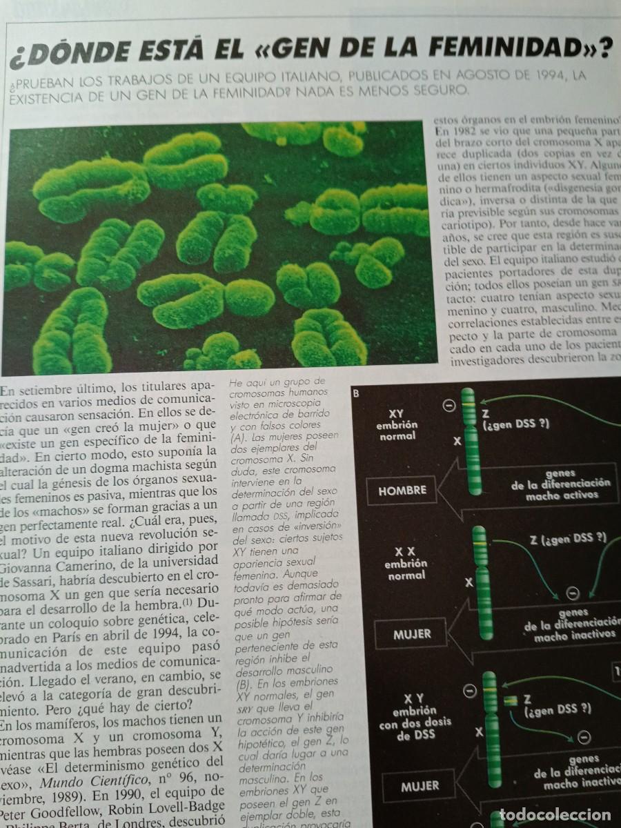 Coleccionismo de revistas y peri&oacute;dicos: &iquest;EXISTE EL GEN DE LA FEMINIDAD?. ART&Iacute;CULO 2 P&Aacute;GS DE MUNDO CIENT&Iacute;FICO, 1995