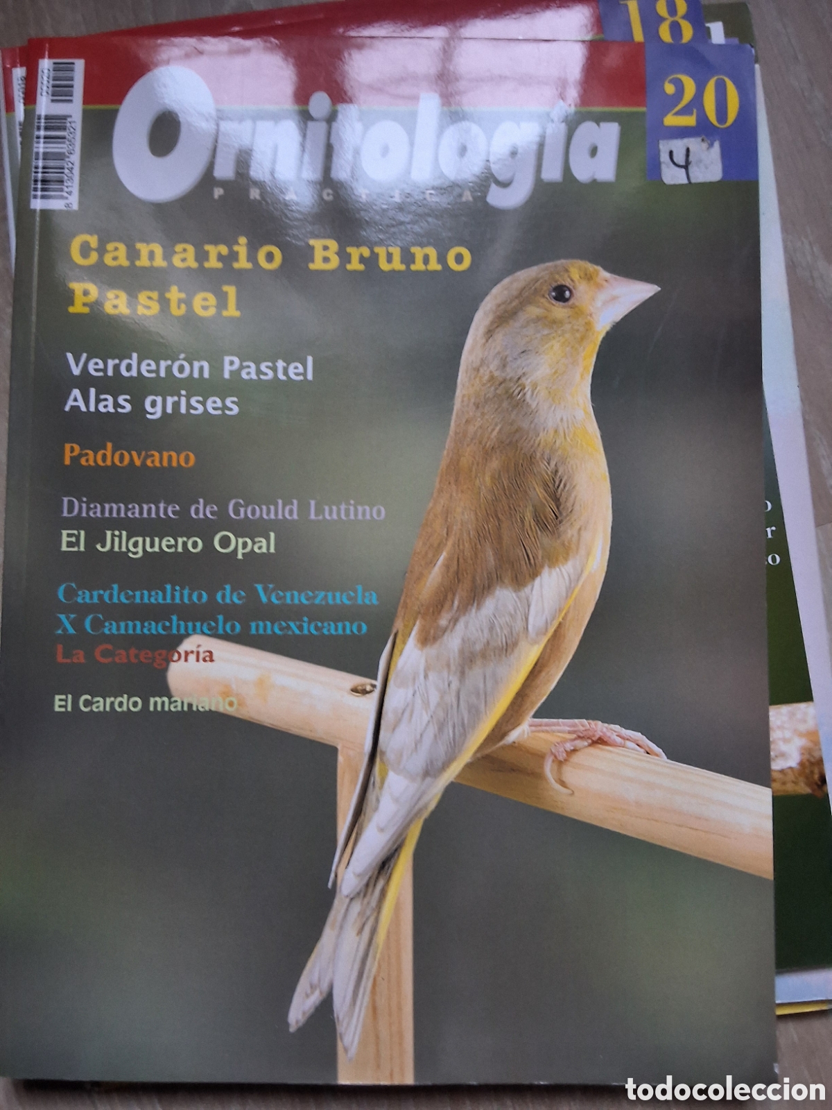 Coleccionismo de revistas y peri&oacute;dicos: Ornitologia pr&aacute;ctica revista p&aacute;jaros n&uacute;mero 20 canario bruno pastel edita croma