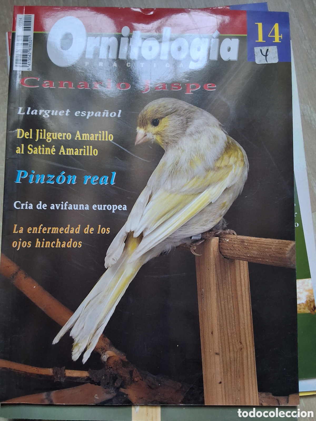 Coleccionismo de revistas y peri&oacute;dicos: Ornitologia pr&aacute;ctica revista p&aacute;jaros n&uacute;mero 14 canario jaspe edita croma