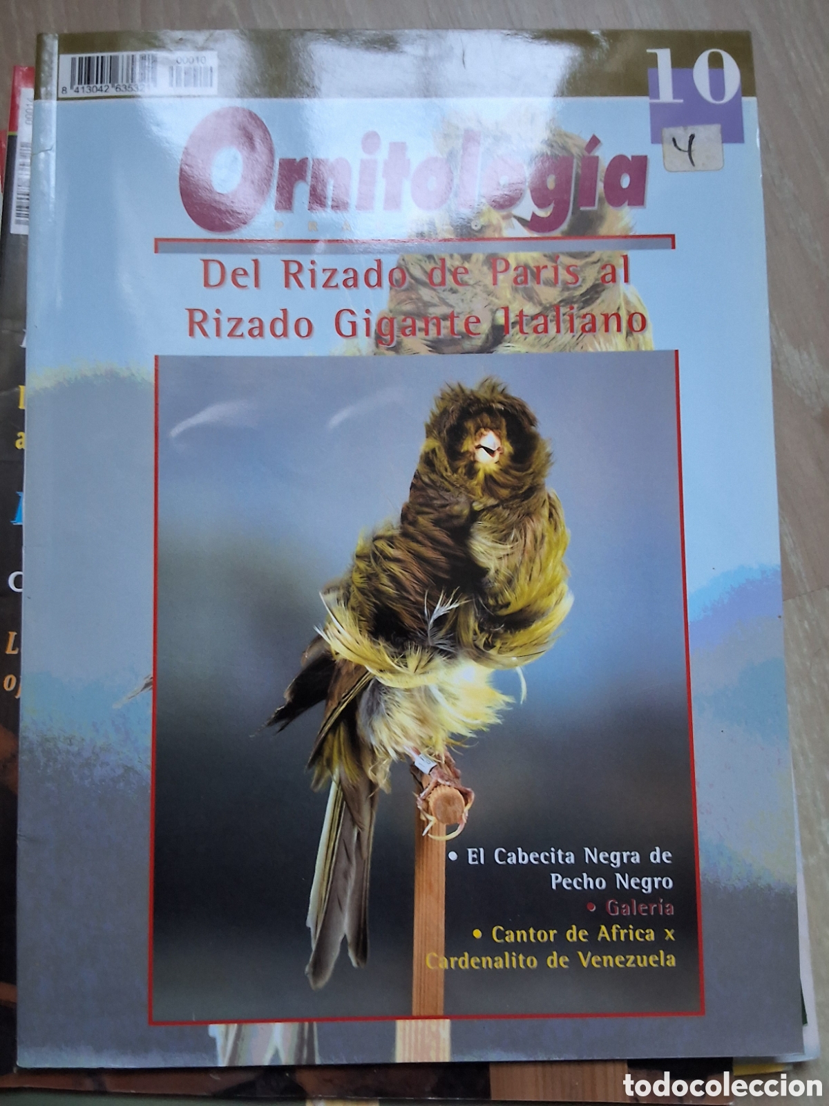 Coleccionismo de revistas y peri&oacute;dicos: Ornitologia pr&aacute;ctica revista p&aacute;jaros n&uacute;mero 10 rizado perejil gigante italiano edita campomas