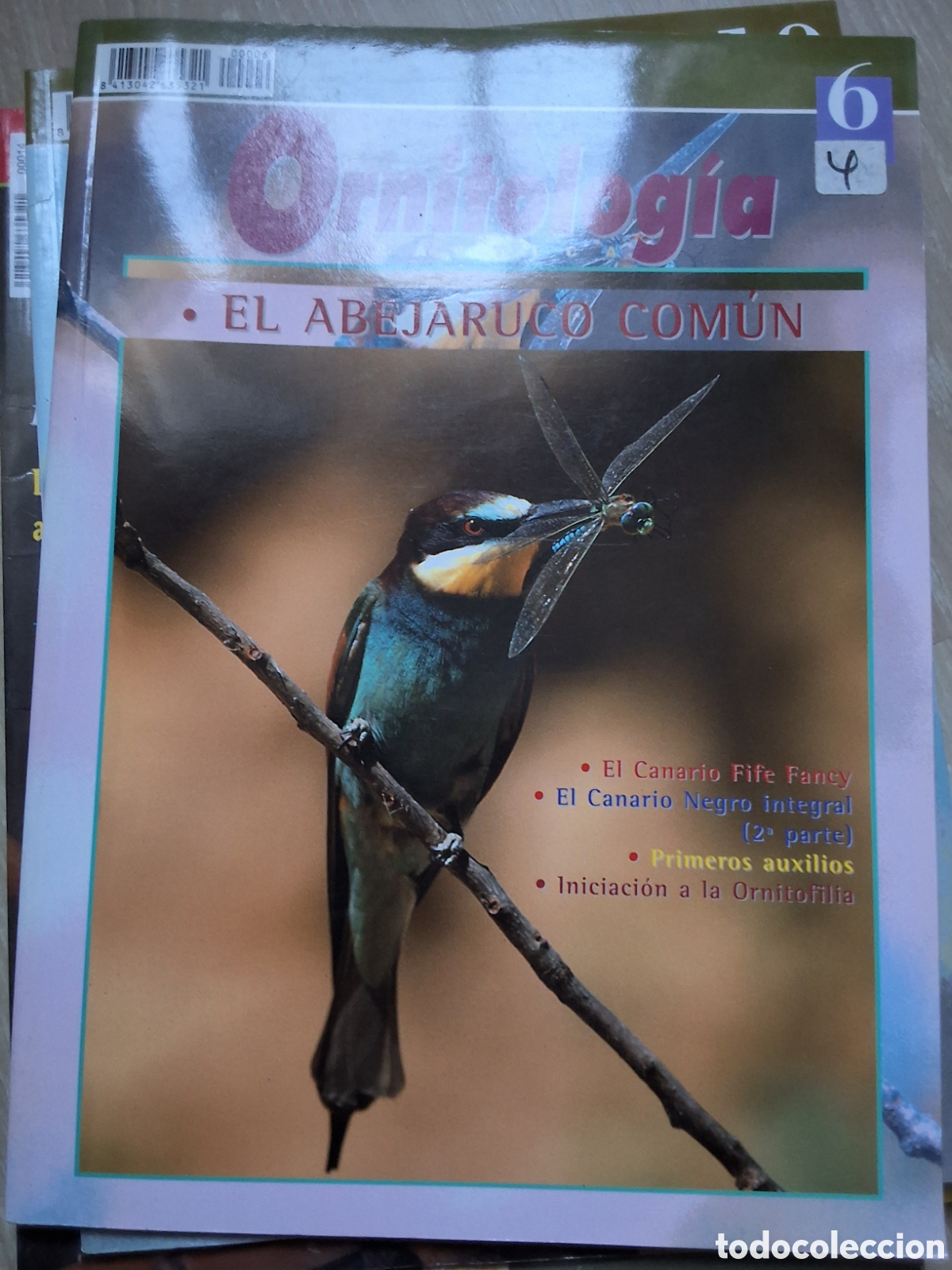 Coleccionismo de revistas y peri&oacute;dicos: Ornitologia pr&aacute;ctica revista p&aacute;jaros n&uacute;mero 6 abejaruco com&uacute;n edita campomas