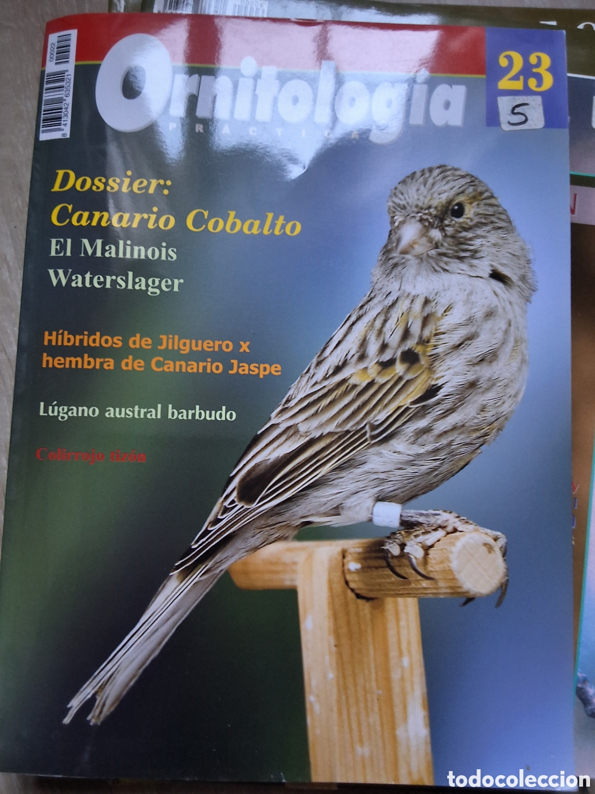 Coleccionismo de revistas y peri&oacute;dicos: Ornitologia pr&aacute;ctica revista p&aacute;jaros n&uacute;mero 23 canario cobalto edita croma