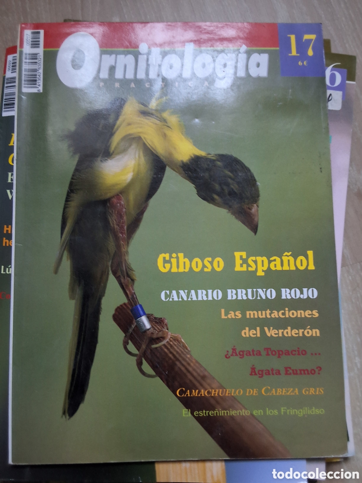 Coleccionismo de revistas y peri&oacute;dicos: Ornitologia pr&aacute;ctica revista p&aacute;jaros n&uacute;mero 17 giboso espa&ntilde;ol edita croma