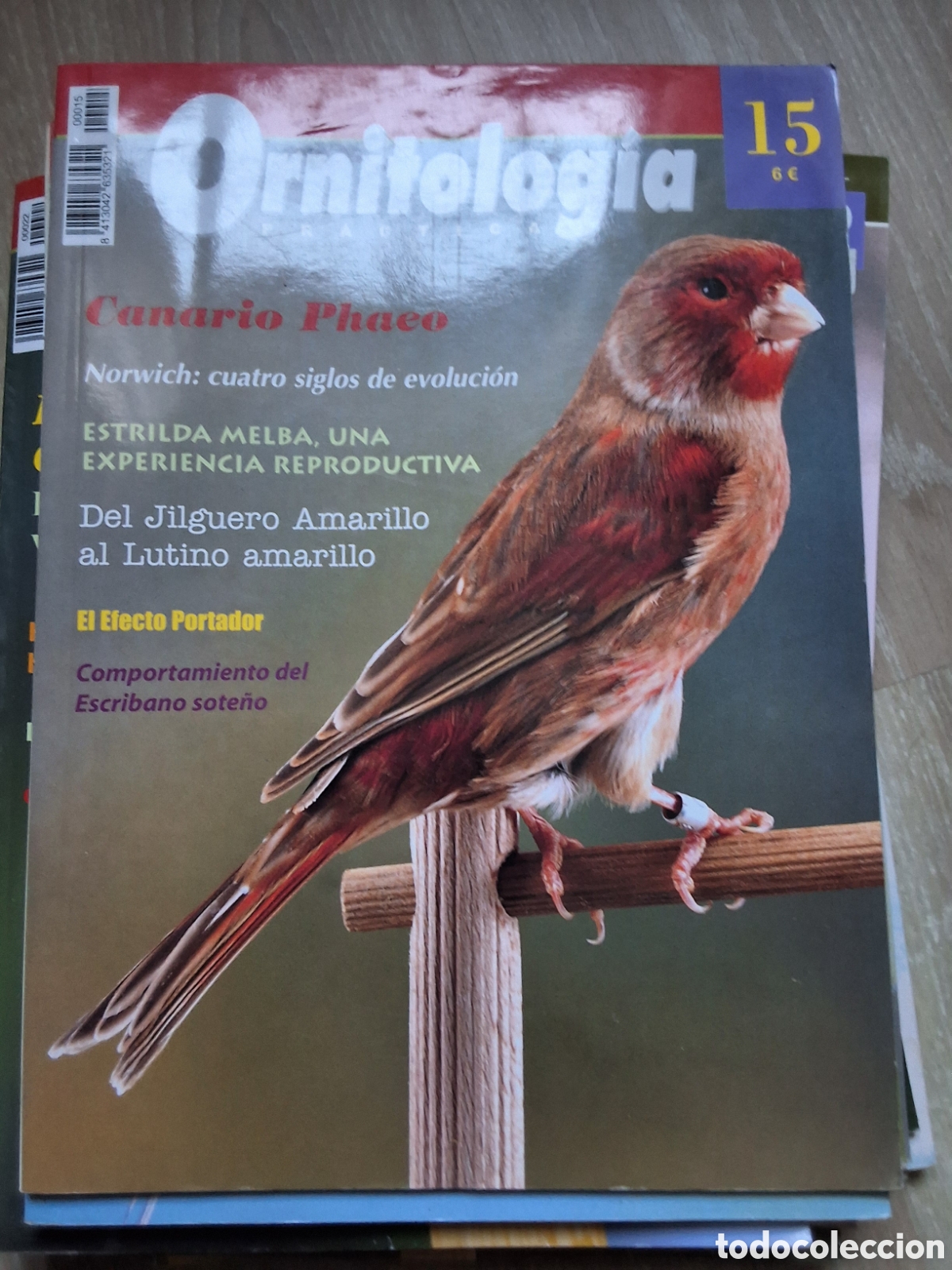 Coleccionismo de revistas y peri&oacute;dicos: Ornitologia pr&aacute;ctica revista p&aacute;jaros n&uacute;mero 15 canario phaeo edita croma
