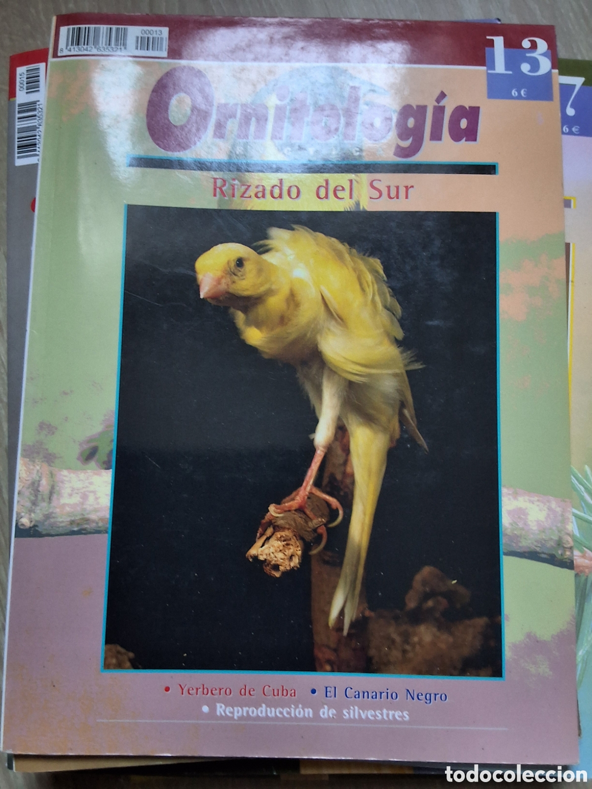 Collection Magazines and Newspapers: Ornitologia pr&aacute;ctica revista p&aacute;jaros n&uacute;mero 13 rizado del sur edita croma