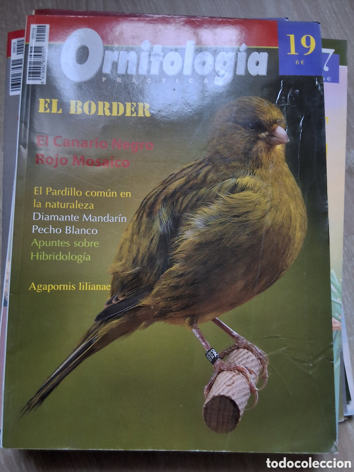 Collectionnisme de Revues et Journaux: Ornitologia pr&aacute;ctica revista p&aacute;jaros n&uacute;mero 19 border edita croma