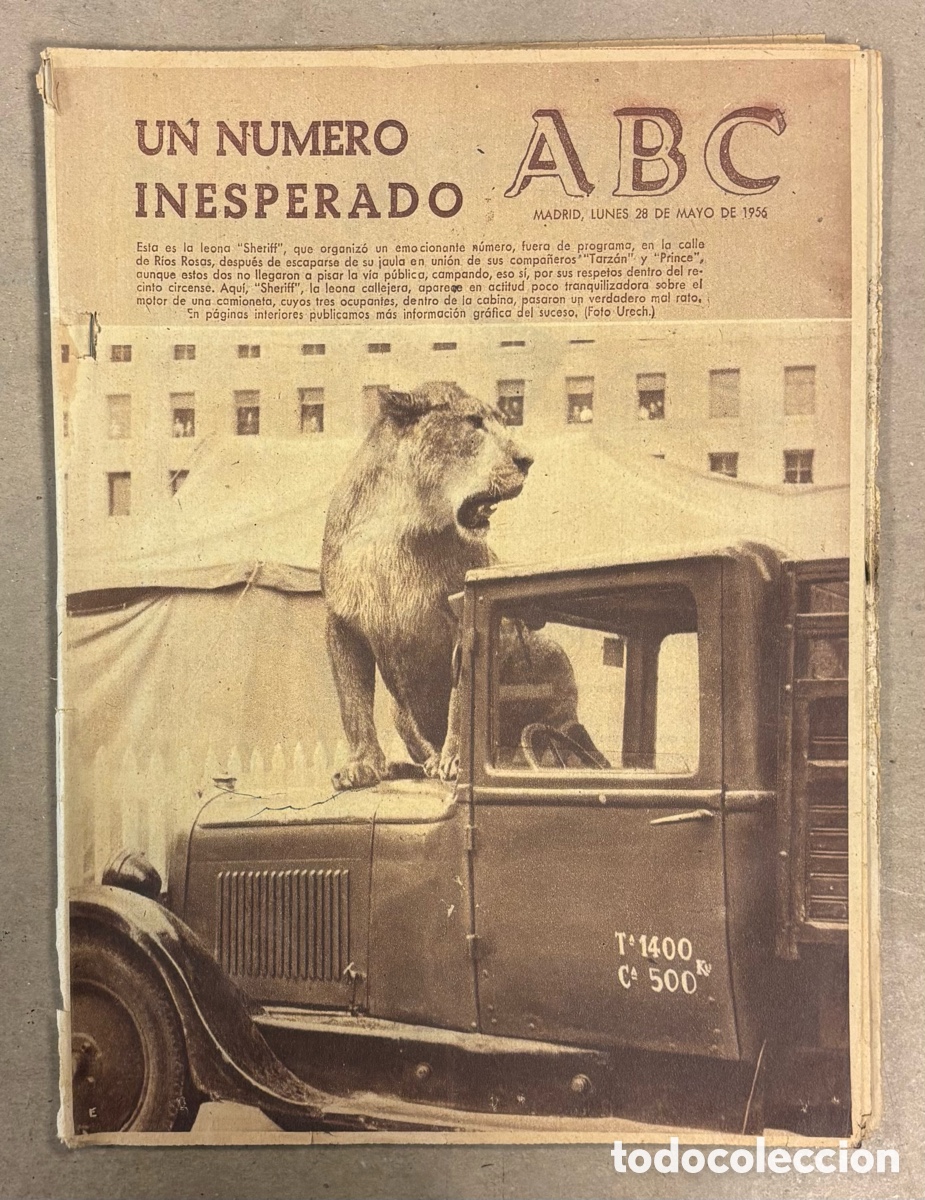 Coleccionismo de revistas y peri&oacute;dicos: ABC (28 MAYO 1956) FUGA LEONA DEL CIRCO EN CALLE R&Iacute;OS ROSAS, FIESTAS C&Oacute;RDOBA, CHAPLIN