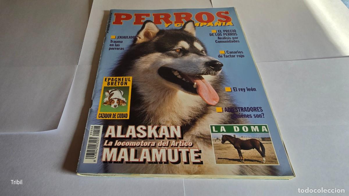 Coleccionismo de revistas y peri&oacute;dicos: REVISTA - PERROS y Compa&ntilde;&iacute;a- 1995-