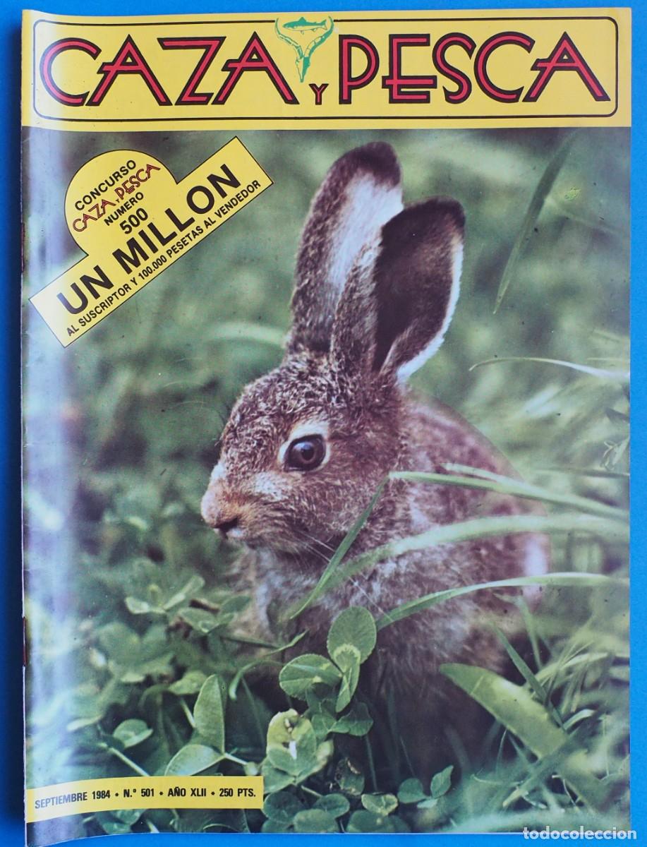 Coleccionismo de revistas y peri&oacute;dicos: REVISTA: CAZA Y PESCA. SEPTIEMBRE 1984. N&ordm; 501