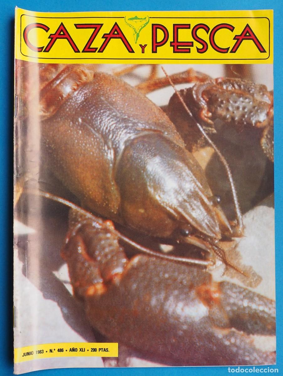 Coleccionismo de revistas y peri&oacute;dicos: REVISTA: CAZA Y PESCA. JUNIO 1983. N&ordm; 486