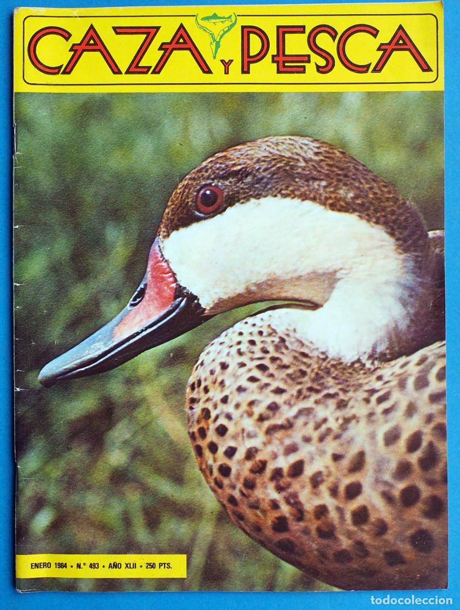 Coleccionismo de revistas y peri&oacute;dicos: REVISTA: CAZA Y PESCA. ENERO 1984. N&ordm; 493
