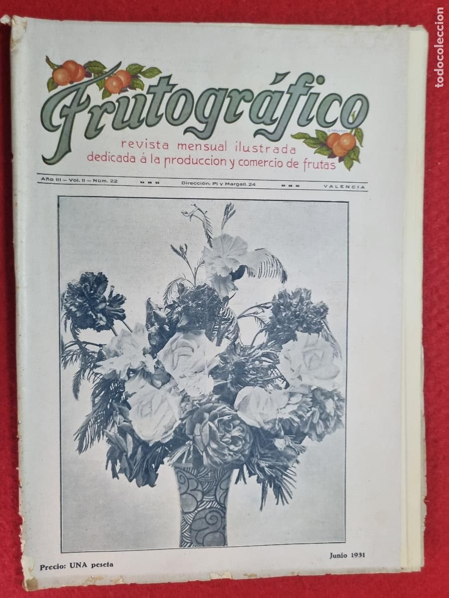 Coleccionismo de revistas y peri&oacute;dicos: REVISTA FRUTOGRAFICO NARANJAS Y FRUTAS 1931 N&ordm; 22 IMPRESA EN VALENCIA CON PUBLICIDAD ORIGINAL