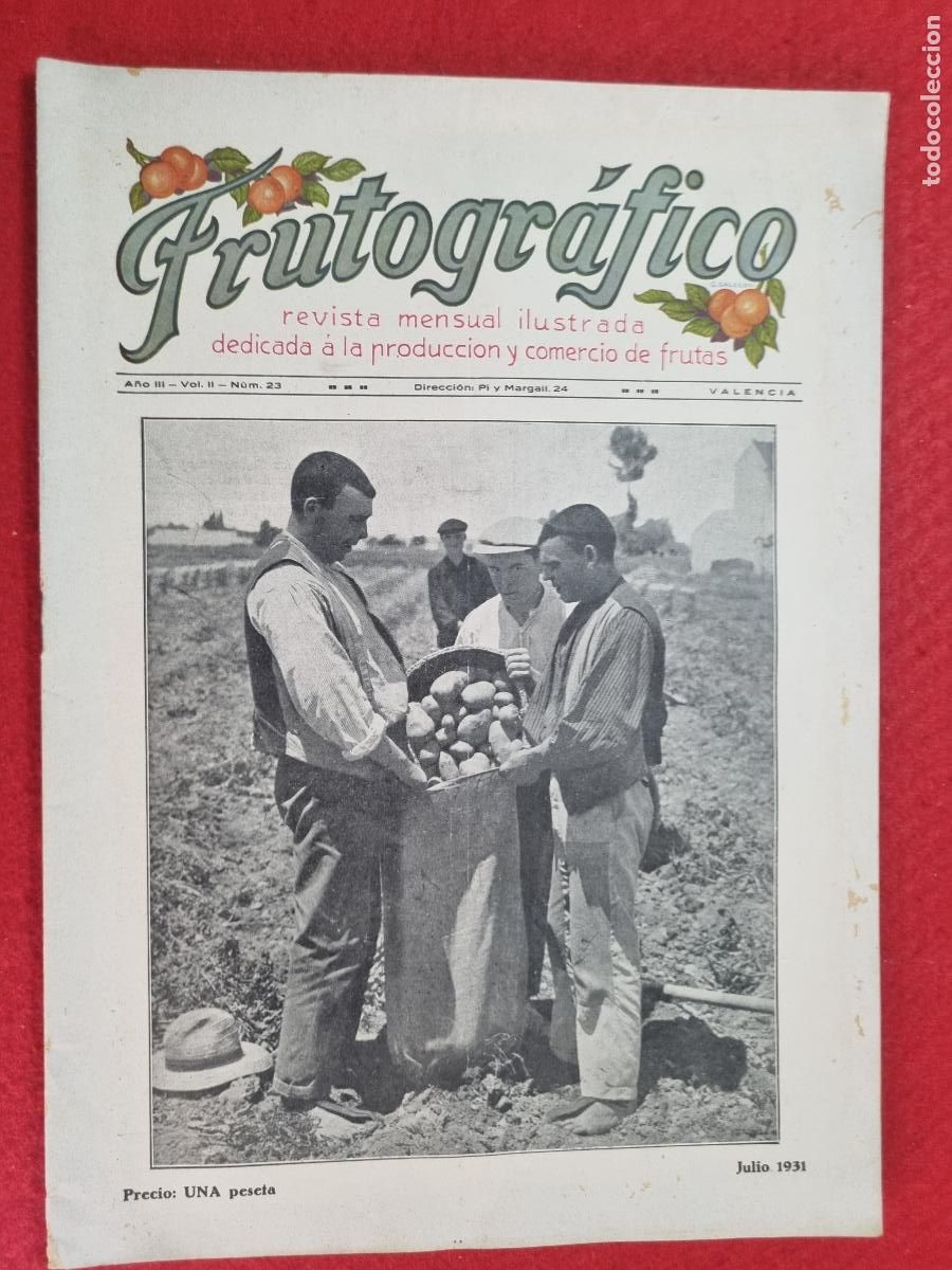 Coleccionismo de revistas y peri&oacute;dicos: REVISTA FRUTOGRAFICO NARANJAS Y FRUTAS 1931 N&ordm; 23 IMPRESA EN VALENCIA CON PUBLICIDAD ORIGINAL