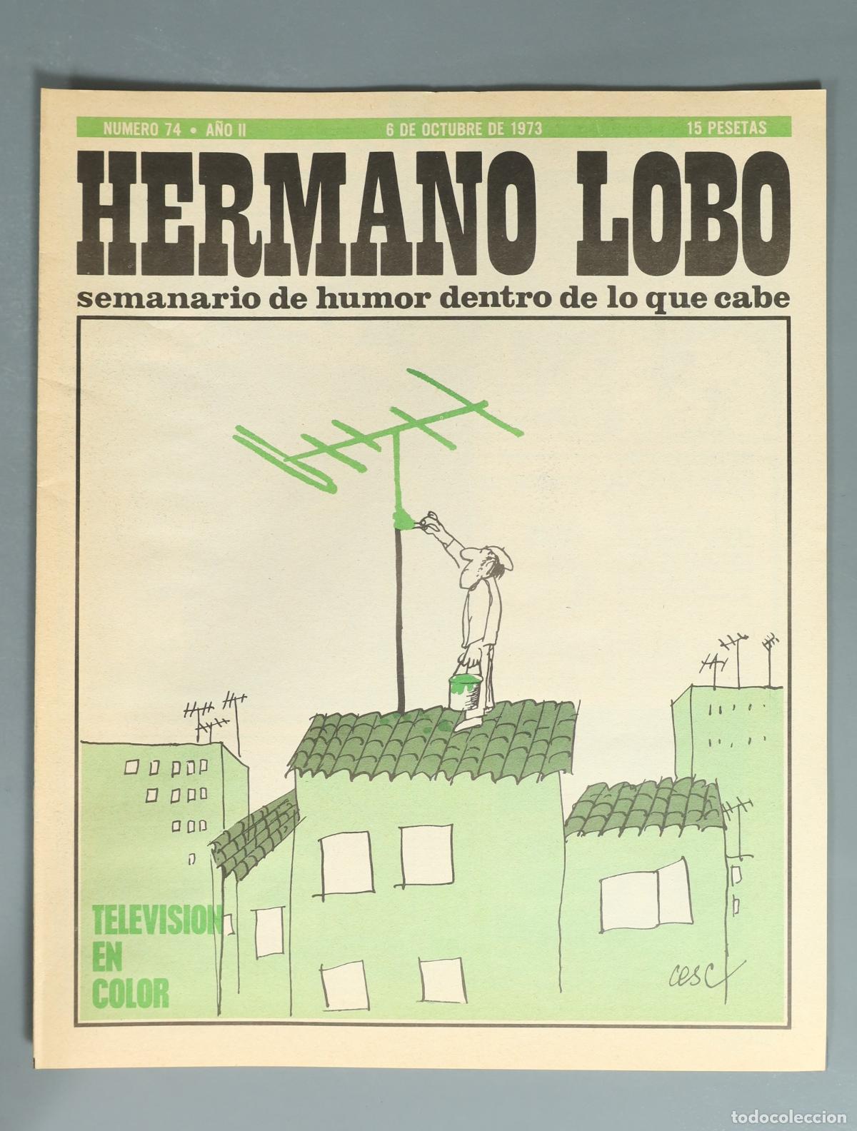 Coleccionismo de revistas y peri&oacute;dicos: REVISTA. Hermano Lobo - N&uacute;mero 74
