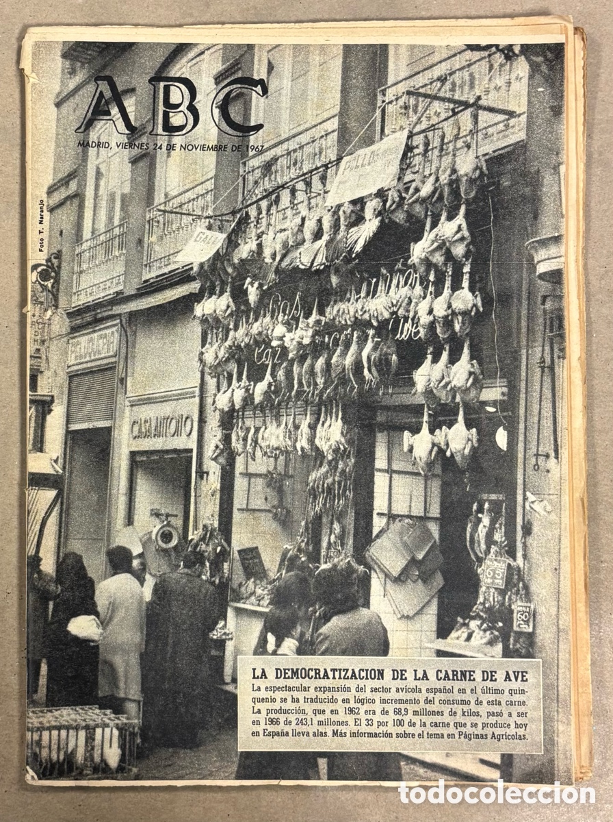 Coleccionismo de revistas y peri&oacute;dicos: ABC (24 NOVIEMBRE 1967) DEMOCRATIZACI&Oacute;N CARNE AVE, INUNDACIONES EN FAY&Oacute;N (ZARAGOZA, ATL&Eacute;TICO BATALLA