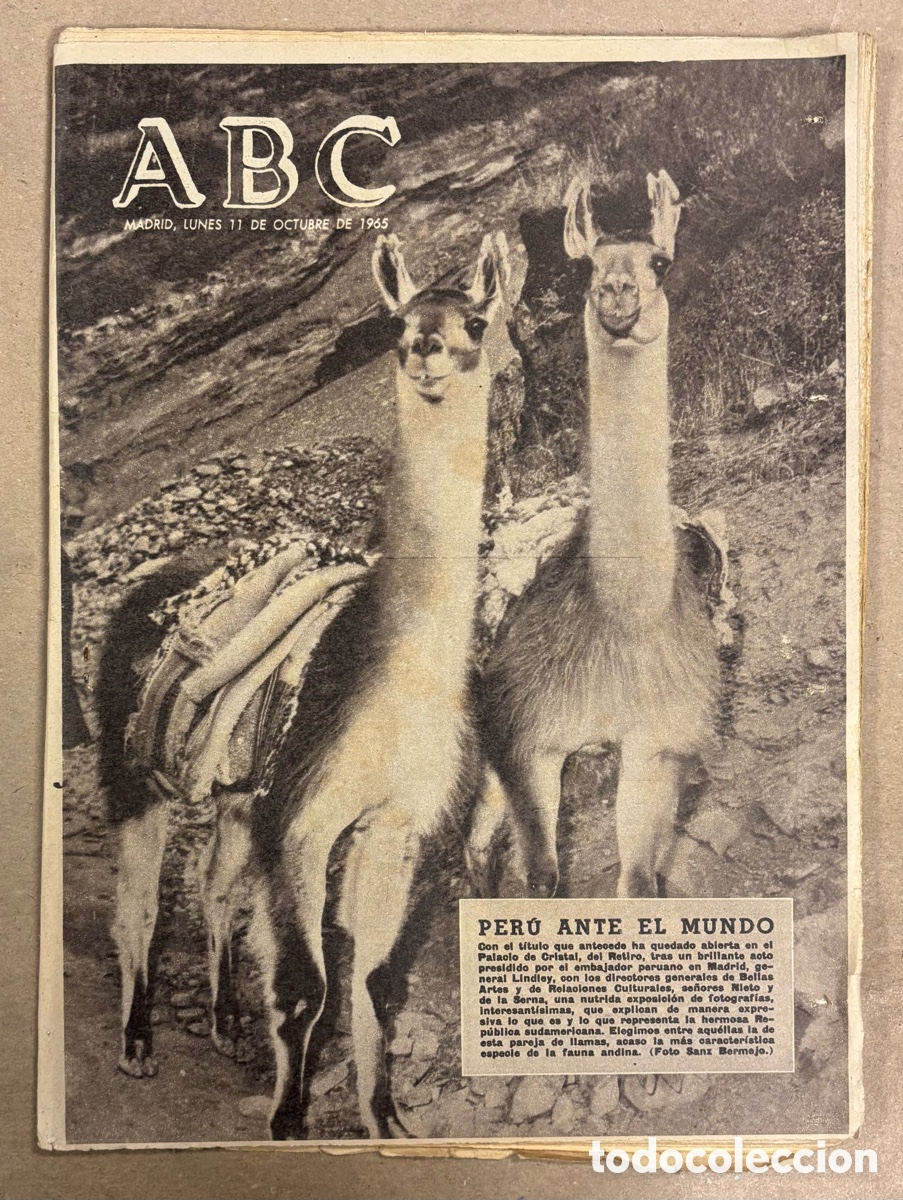 Coleccionismo de revistas y peri&oacute;dicos: ABC (11 OCTUBRE 1965) EXPOSICI&Oacute;N PER&Uacute; EN MADRID, CUEVAS DE CANALOBRE ALICANTE, ESPA&Ntilde;OL 3-4 ATHLETIC