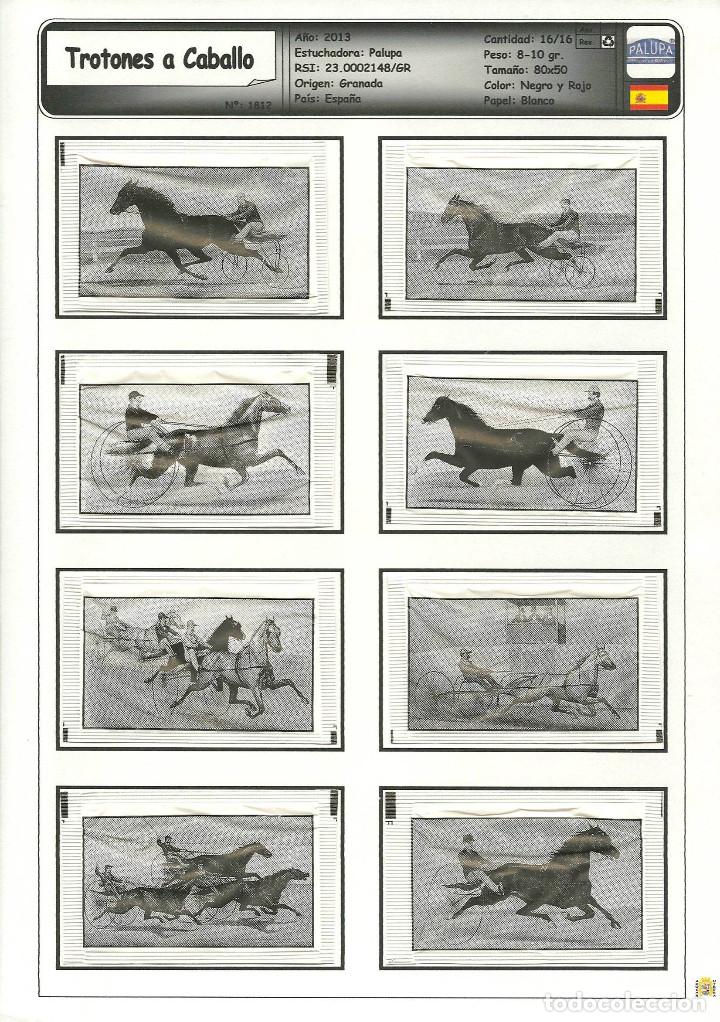 Pacotes de A&ccedil;&uacute;car de cole&ccedil;&atilde;o: 1812 SERIE SOBRES DE AZ&Uacute;CAR: Trotones a Caballo. EST. : Palupa 16/16