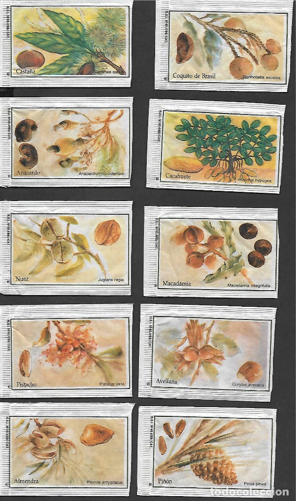 Collection sugar packets: 30. Sobre azucar. Resto de serie. (Brasilia 10 Grs.)