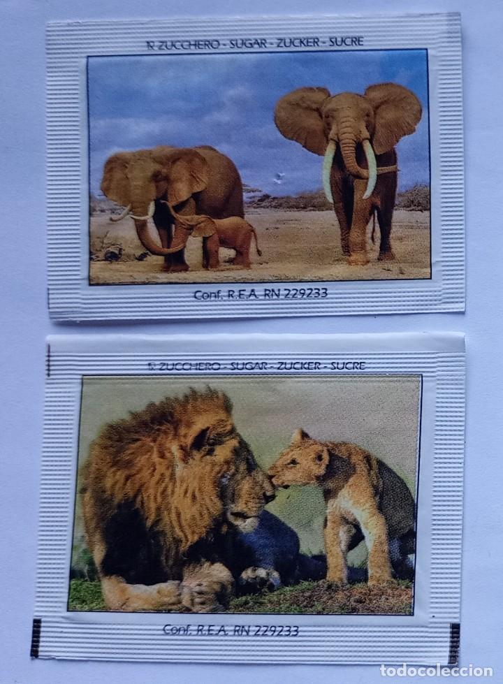 Sobres de az&uacute;car de colecci&oacute;n: 2 sobres de azucar de It&aacute;lia - Foto 1