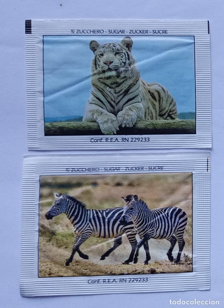 Sobres de az&uacute;car de colecci&oacute;n: 2 sobres de azucar de It&aacute;lia - Foto 2