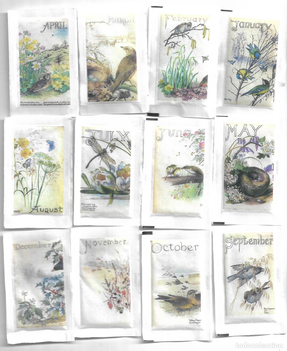 Sobres de az&uacute;car de colecci&oacute;n: MESES DEL A&Ntilde;O EDITH HOLDEN SERIE DE 12 SOBRES AZ&Uacute;CAR, AMICS COL&middot;LECCIONISTES DEL BAGES, 2015 TROBADA
