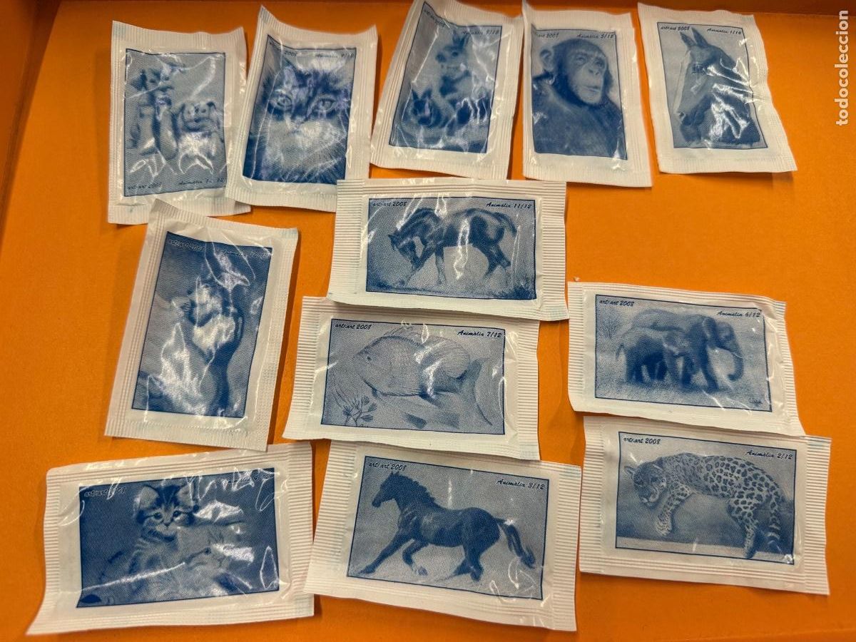 Collection sugar packets: Serie completa ANIMALIA 12 sobres de azucar ARTXART 2008. Vacios