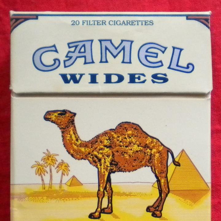 Wides camel Breakdown of
