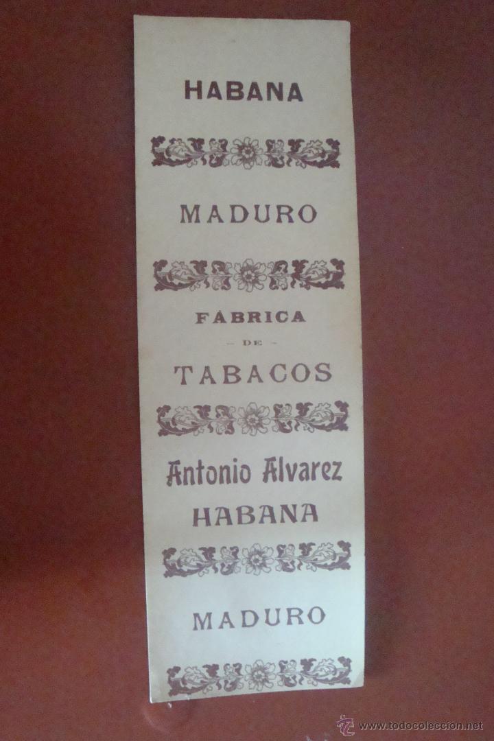 Paquetes de tabaco: MADURO - Foto 1