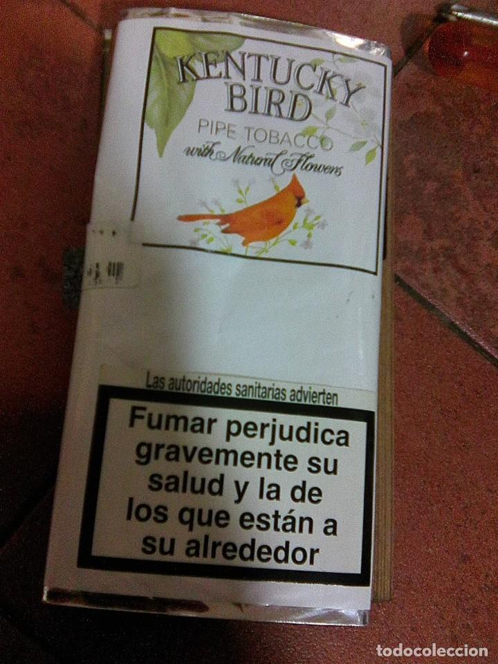 brazilian tobacco ibrahim Brazilian Tobacco by Ibrahim al Qurashi : r/IndiaFragMarketplace