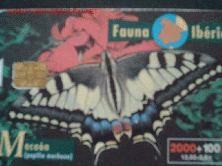 Tarjetas telef&oacute;nicas de colecci&oacute;n: FAUNA IBERICA: MARIPOSA MACAON