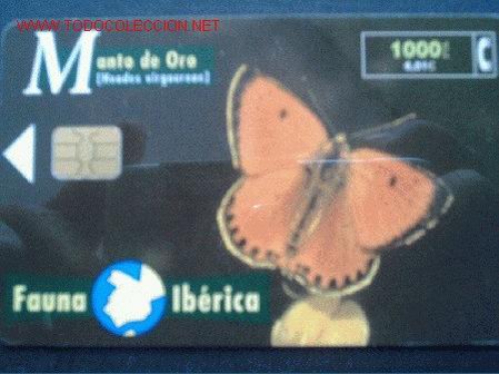 Tarjetas telef&oacute;nicas de colecci&oacute;n: FAUNA IBERICA: MARIPOSA MANTO DE ORO