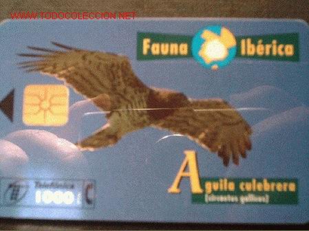 Carte telefoniche di collezione: FAUNA IBERICA: AGUILA CULEBRERA