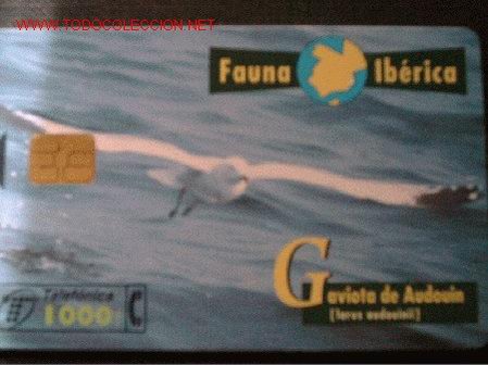 Cartes T&eacute;l&eacute;phoniques de collection: FAUNA IBERICA: GAVIOTA DE AUDOUIN