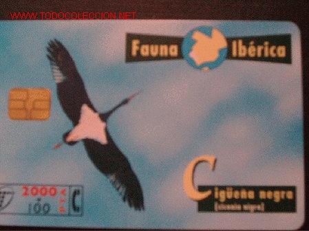 Carte telefoniche di collezione: FAUNA IBERICA: CIGUE&Ntilde;A NEGRA