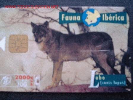 Tarjetas telef&oacute;nicas de colecci&oacute;n: FAUNA IBERICA: LOBO - Foto 1