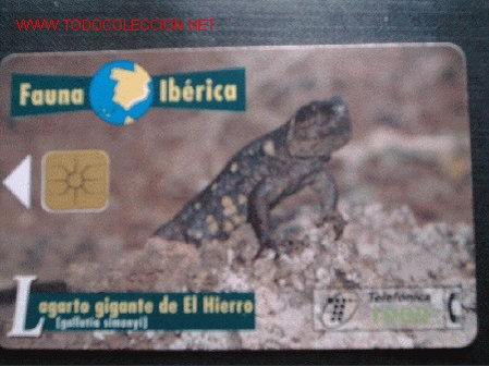 Carte telefoniche di collezione: FAUNA IBERICA: LAGARTO GIGANTE DE HIERRO.