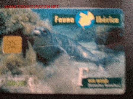 Carte telefoniche di collezione: FAUNA IBERICA: FOCA MONJE
