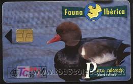 Tarjetas telef&oacute;nicas de colecci&oacute;n: tarjeta telef&oacute;nica- fauna ib&eacute;rica, tirada 1.000.000