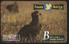 Tarjetas telef&oacute;nicas de colecci&oacute;n: tarjeta telef&oacute;nica - fauna ib&eacute;rica (buitre negro)